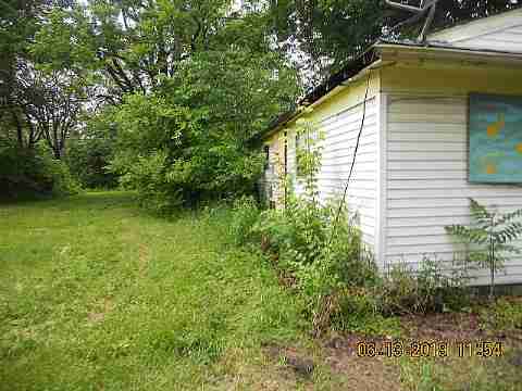 15017 Dolphin (1)_m.jpg